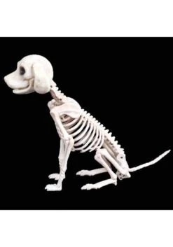 Fun World Shop -Fun World Shop 7 5 sitting puppy skeleton alt 1