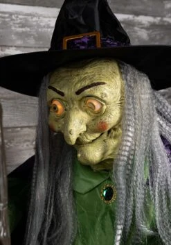 Animated Stirring Up Trouble Witch Decoration -Fun World Shop stirring up trouble animated witch decoration alt 4